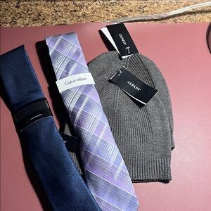 Calvin Klein Collection Blue and Purple Ties